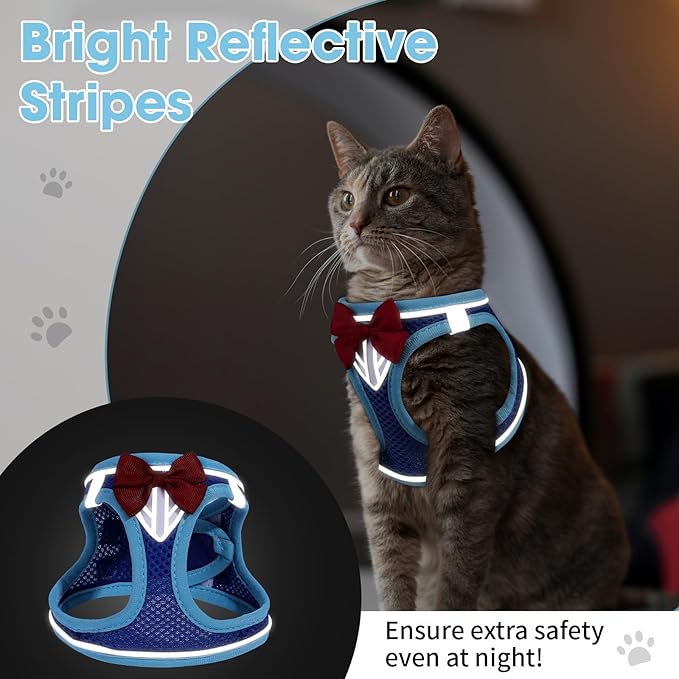 Cat Vest Harness and Leash Set for Walking Escape Proof, Adjustable Kitten Harness Breathable Mesh with Reflective Strips Harness for Kitty Puppy Bunny (Blue, S)