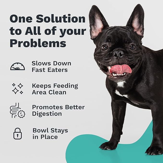 2 in 1 Pack - Large Enhanced Pet Bowl + Large Stand. Stainless Steel Slanted Dog Bowl with Raised Ridge for Flat-Faced Dog Breeds or Cats, Food-Grade Non-Slip No Spill Bowl for Dogs, Less Mess, Less