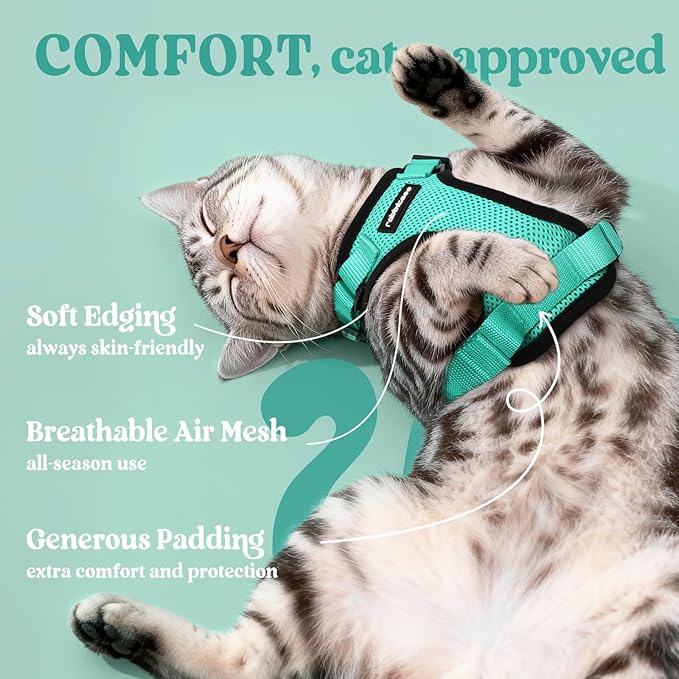 rabbitgoo Cat Harness and Leash for Walking, Escape Proof Soft Adjustable Vest Harnesses for Cats, Easy Control Breathable Reflective Strips Jacket, Emerald, S