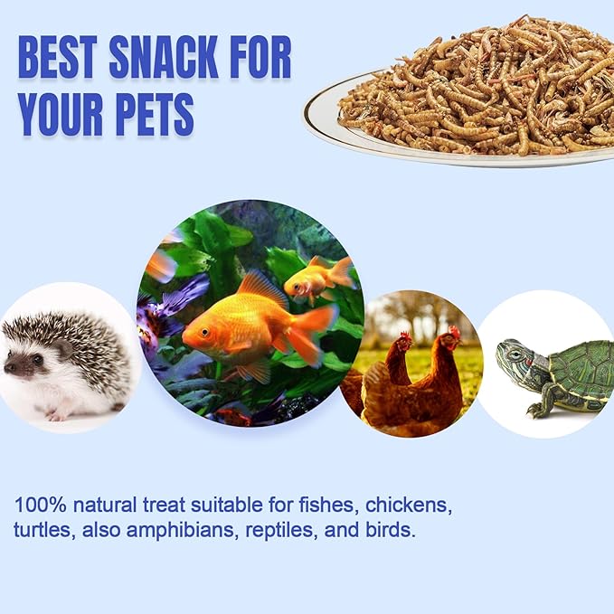 Amzey Shrimp & Mealworms 100% Non-GMO Dried Mealworms - High-Protein Meal Worm Treats - Perfect for Your Chickens, Ducks, Wild Birds, Turtles, Hamsters, Fish and Hedgehogs