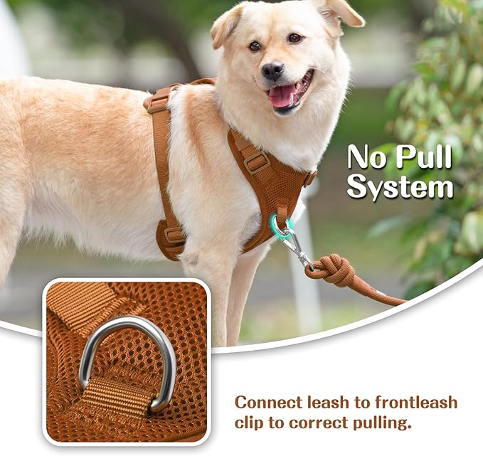 No Pull Dog Harness for Small Medium Large Dogs - Adjustable Two-Layer Mesh Dog Vest with Dual Clip, Escape Proof, Quick Release, Lightweight Breathable Mesh for Walking Hiking (Carmel Brown,L)