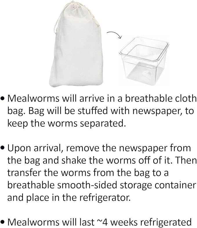 Mealworm Breeder Kit (Basic) - Breed Live Feeder Worms for Hedgehogs, Sugar Gliders, Reptiles, Wild Birds, Chickens, Lizards, Bearded Dragon, Skunks, Opossum, Fish, Turtles, Tortoises, Geckos