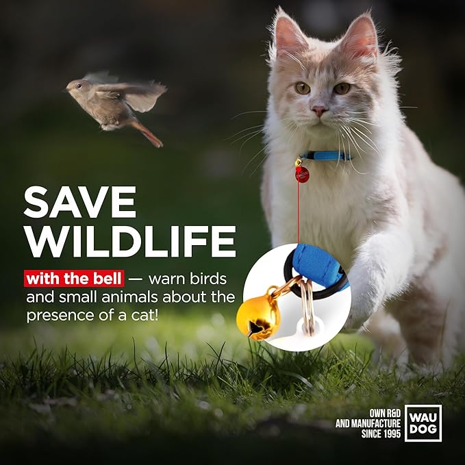 Leather Cat Collar with Bell and Safety Elastic Strap Breakaway Alternative for Small & Large Kittens, Stylish Pet Leather Collar for Boy, Girl Cats with Metal Buckle & QR ID Tag (Blue)