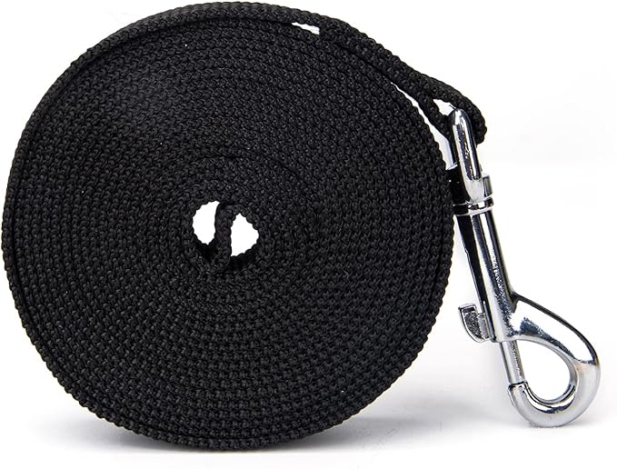 Strong Durable Nylon Dog Training Leash, 1 Inch Wide Traction Rope, 6 ft Long, for Small and Medium Dog (Black, 6 Feet)