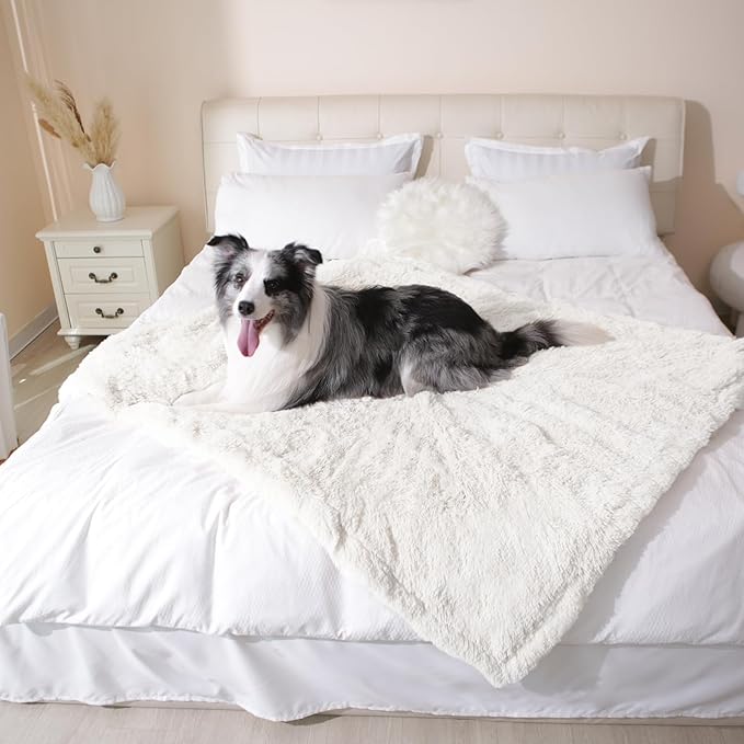 gogobunny Waterproof Dog Blanket for Large Dogs, Cats, Puppy, Reversible Faux Fur Pet Throw Blanket, Washable, Calming Furniture Protection for Sofa Bed (60x80 Inch (Pack of 1), Cream)