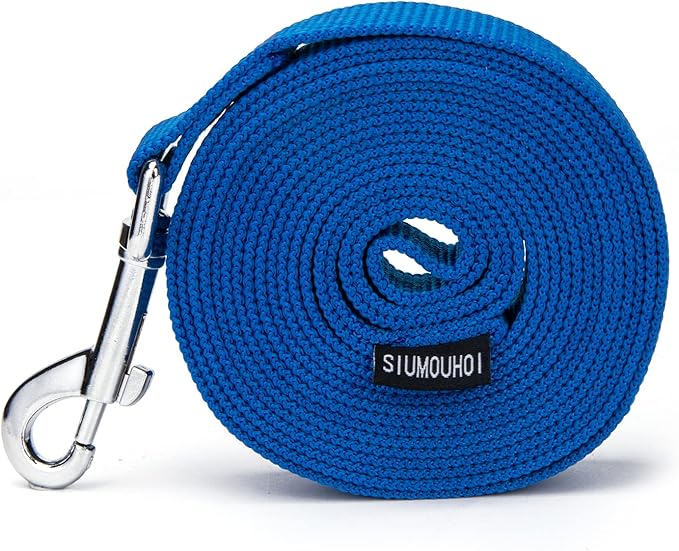 Strong Durable Nylon Dog Training Leash, 1 Inch Wide Traction Rope, 6 ft 10ft 15ft Long, for Small and Medium Dog (Blue, 6 Feet)
