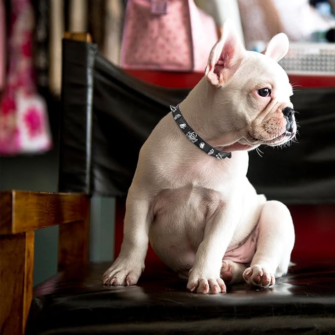 EXPAWLORER Halloween Cat Collar for Girl Boy- Adjustable Leather Pet Collar with Safety Elastic Belt,Personalized Punk Accessories Buckle Collars with Bell & Durable D-Ring, Rivet (Black)