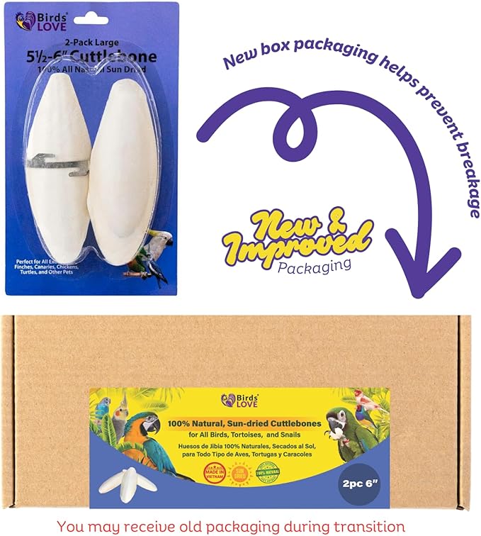 Birds LOVE Natural Cuttlebone for Birds & Reptiles – 100% Pure Sun-Dried Calcium Supplement – Supports Beak, Bone & Shell Strength – Safe Daily Use - 2 Pack with Holder, Size 5.5 to 6"