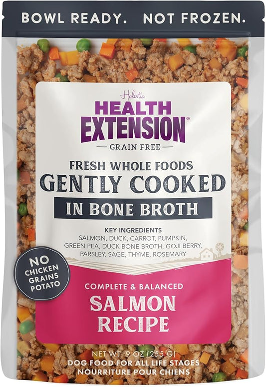 Health Extension Gently Cooked Grain-Free Salmon Dog Food, Human-Grade & Shelf-Stable with Superfoods, Supports Digestion, Immunity, Skin & Coat, 9 oz Pouch (Pack of 1)