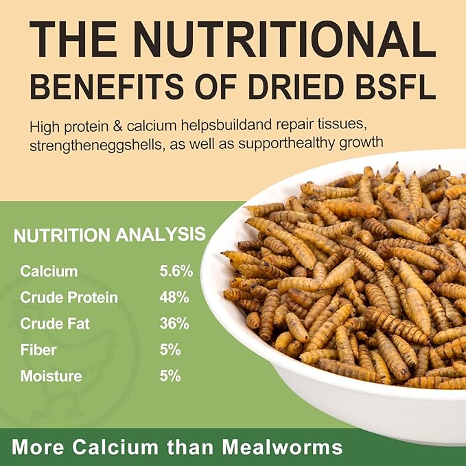 10LB Dried Black Soldier Fly Larvae for Chickens - Non-GMO Insect Larvae Treats More Calcium Than Mealworms, High Protein Chicken Feed for Backyard Poultry - BSFL, Bird Food, Chicken Worms