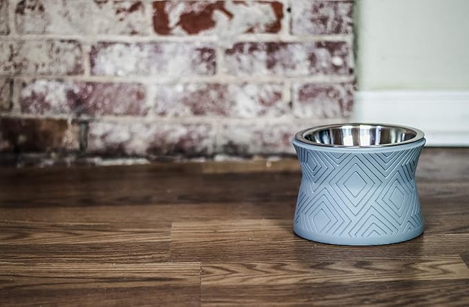 Pet Junkie Santa Fe Single Elevated Pet Bowl Stand with Removable Stainless Steel 16oz Inner Bowl for Small Dog Breed or Cat - Raised Dog Food or Water Station (Small, ICY Gray)