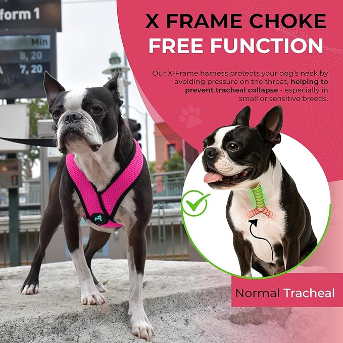 Gooby Comfort X Head in Harness - Flamingo Pink, Small - No Pull Dog Harness with Patented Choke-Free X Frame for Small to Medium Dogs Indoor/Outdoor Use