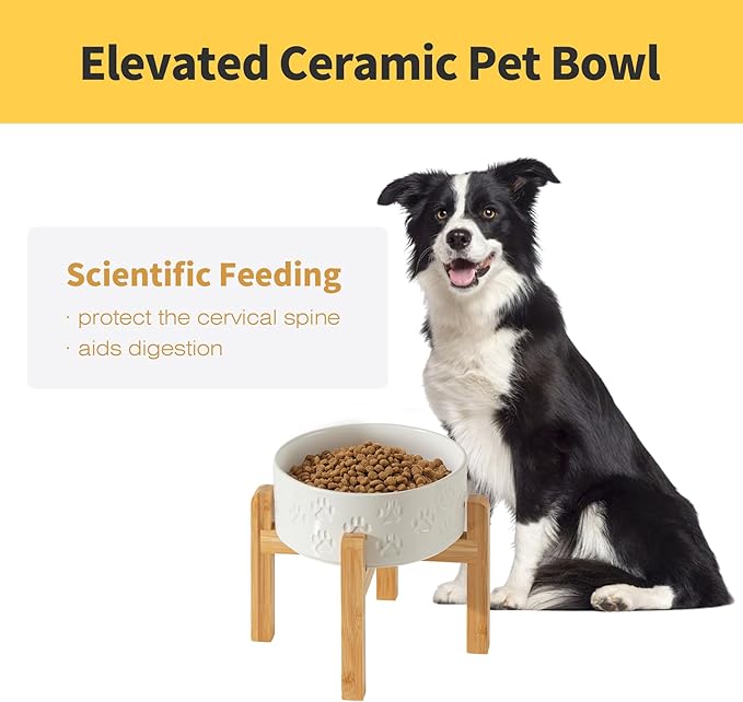 Elevated Ceramic Dog Bowls 2 Pack, 7.3“ Individual Dog Bowl Stand for Medium Dogs, 8.1" Tall Non-Slip Bamboo Stand, Microwave Safe (Double Bowls + Double Stands - White, 7.3 inch)