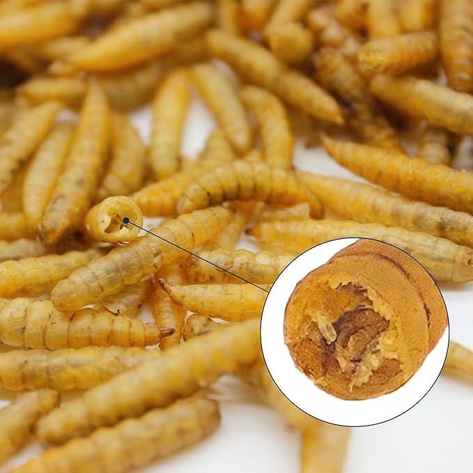 Nutrient-Rich Chicken Feed - 1LB Dried Black Soldier Fly Larvae, 100% Natural, 85X More Calcium Than Mealworms, Ideal for Molting & Laying Hens, Ducks, and Wild Birds, Reptiles and Hedgehogs