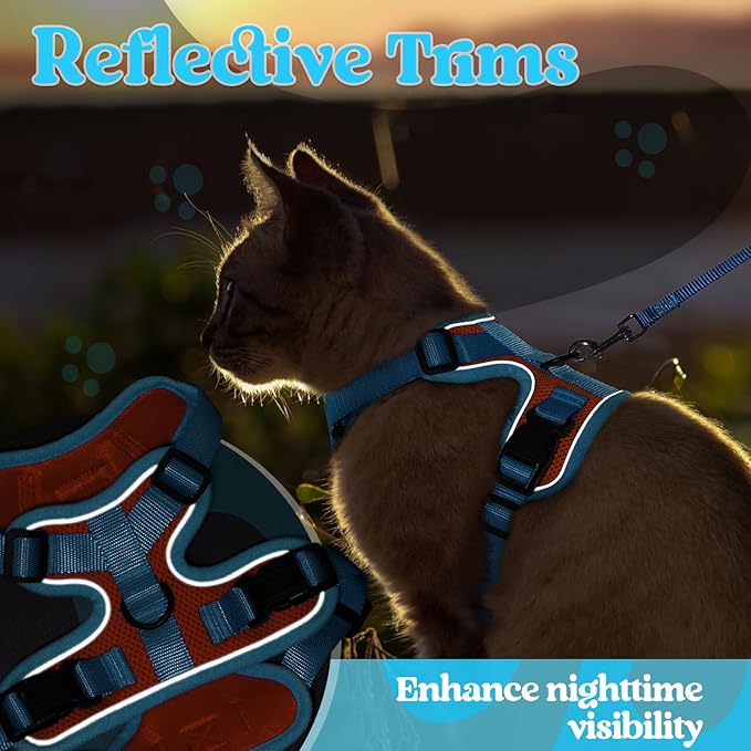 rabbitgoo Cat Harness and Leash Set, Escape Proof Soft Adjustable Vest Harnesses for Outdoor Walking, Easy Control Breathable Kitten Jacket with Reflective Strips, Orange & Light Blue, XS