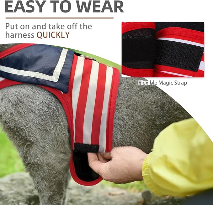 PUPTECK Soft Mesh Cat Vest Harness and Leash Set Puppy Padded Pet Harnesses Escape Proof for Cats Small Dogs Rabbits Bunny, Navy Red, L