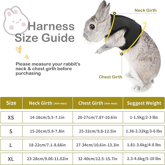 PETTOM Bunny Rabbit Harness with Stretchy Leash Cute Adjustable Buckle Breathable Mesh Vest for Kitten Small Pets Walking (Black,XL)