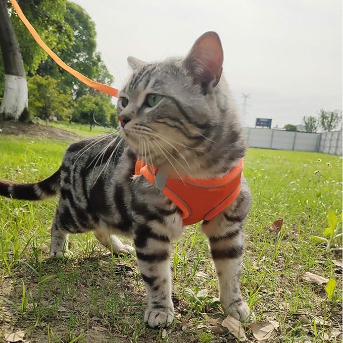 Puppy Harness and Leash Set, Escape Proof Dog Cat Vest Harness for Cats Small Medium Dogs, Adjustable Reflective Step in Harness,Soft Mesh Comfort Fit No Pull No Choke (Large(16.1"-18.1"), Orange)