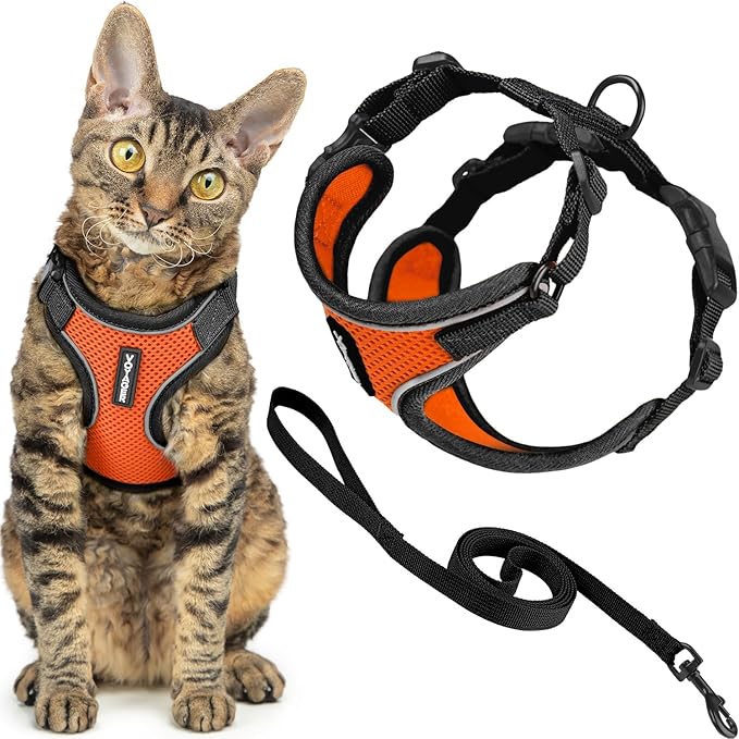 Voyager Escape Proof Cat Harness and Leash Set with Reflective Stitching, Neoprene Handle 5ft - Supports Small, Medium and Large Cats, Kittens for Walking by Best Pet Supplies - BT-Orange, XXXS
