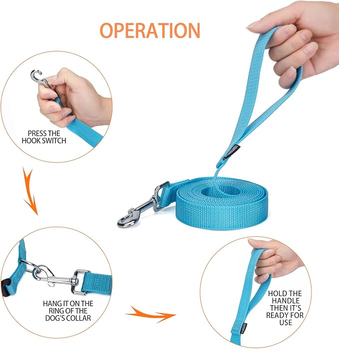 Strong Durable Nylon Dog Training Leash, 1 Inch Wide Traction Rope, 10 ft Long, for Small and Medium Dog (Mint Blue, 10 Feet)