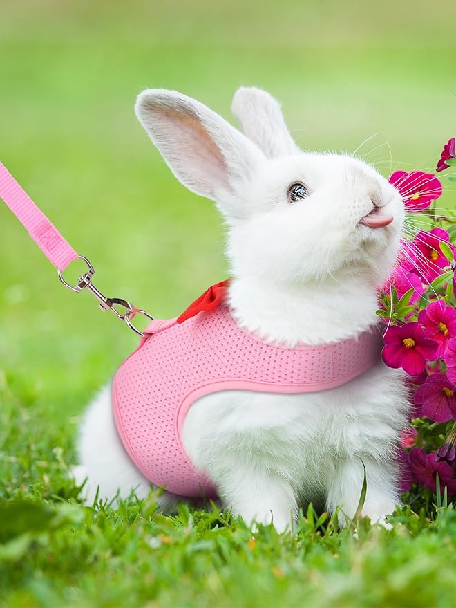 Rabbit Leash and Harness Set for Walking Escape Proof,Mesh Breathable Adjustable Bunny Leash Camping Hiking Training for Bunny Ferret Kitten Puppy Pink S Young Rabbit 1-3 Months