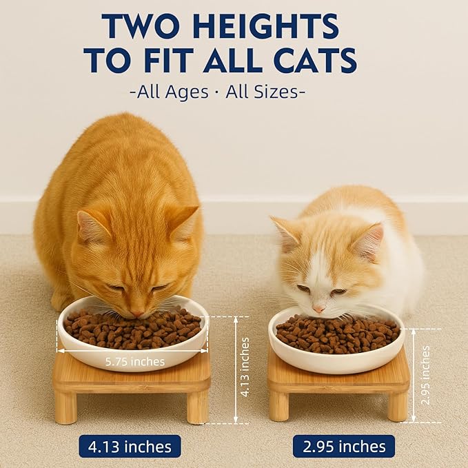 Elevated Cat Bowls for Indoor Cats – Raised Bamboo Cat Bowl Stand with 5.75 Inch Wide Ceramic Dishes, Pet Food Plate Table for Easy Feeding, Whisker Friendly (White,Set of 2)