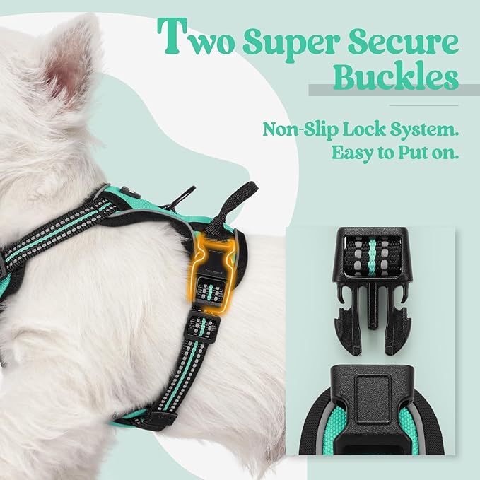 rabbitgoo Dog Harness No Pull with 2 Leash Clips, Adjustable Soft Padded, Reflective Oxford No Choke Pet Vest with Easy Control Handle for Puppy, Turquoise, XS