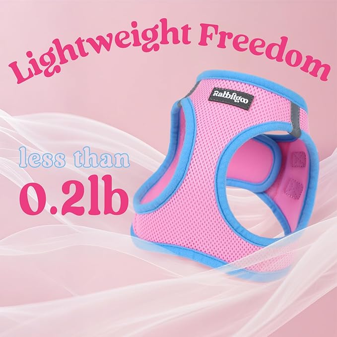 rabbitgoo Dog Harness Small Sized and Leash Set, Step-in Breathable Pet Harness, Soft Walking Reflective Puppy Vest for Small Dogs, Pink & Light Blue, XS