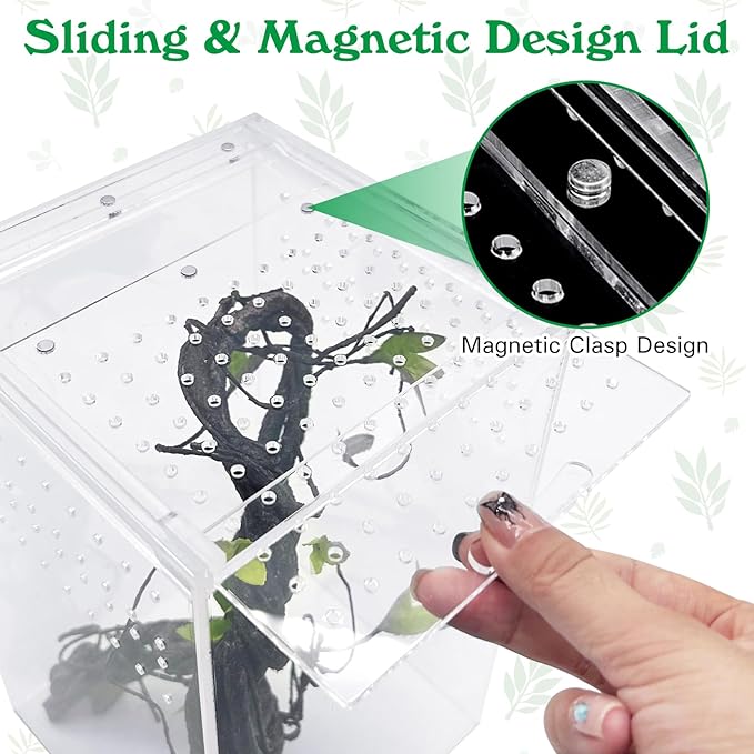 Reptile Terrarium Enclosure 6"x6"x10" Tall Acrylic Tarantula Breeding Box Magnetic Hermit Crab Habitat Vertical Tank Transparent Jumping Spider Cage for Insect Mantis Scorpion Sling Isopods