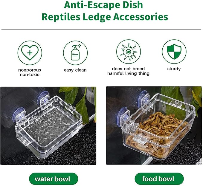 Tfwadmx 2 Pcs Chameleon Bowl, Reptile Feeding Food, Water Dish Gecko Worm Feeder Anti-Escape Hanging Chameleon Supplies Accessories for Lizard Bearded Dragon Snakes