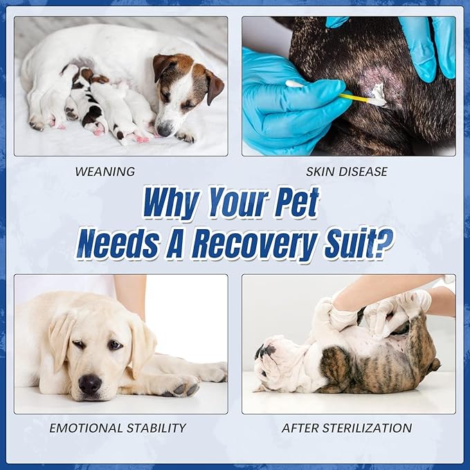 Kuoser Dog Surgery Recovery Suit, Anti Licking Pet Surgical Suit for Dogs Male Neuter, Female Dog Surgery Suit for Spay Subsititute E-Collar Cone, Dogs Body Suits After Surgery Blue Tie Dye S