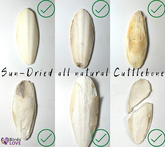 Birds LOVE Natural Cuttlebone – Premium Calcium for Cockatiel, Parrots, Tortoise, Snails, Crabs and Chinchillas - Pure Cuttlebone for Birds - Parakeet Food and Bird Treats - 4lb, Size 5.5 to 6"