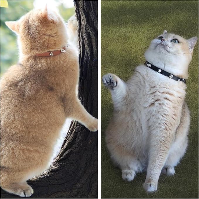 Spiked Cat Collar with Bells, Breakaway Genuine Leather Protective Collar for Kitty, Studs Spikes Punk Style Adjustable for Girl Boy Kittens Small Bunny Rabbit, 8"-9.5" Brown