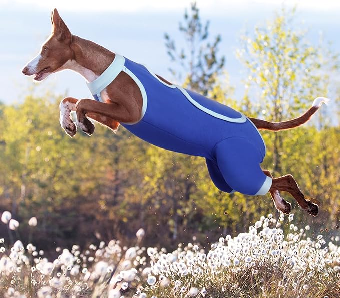 ROZKITCH Dog Surgery Leg Sleeve Rear Legs, Male Female Pet Prevent Licking Wound Elbow Knee Protector, Dog Recovery Suit Cone Collar Alternative Pants Shirt for Wound Heal Wrap Blue L