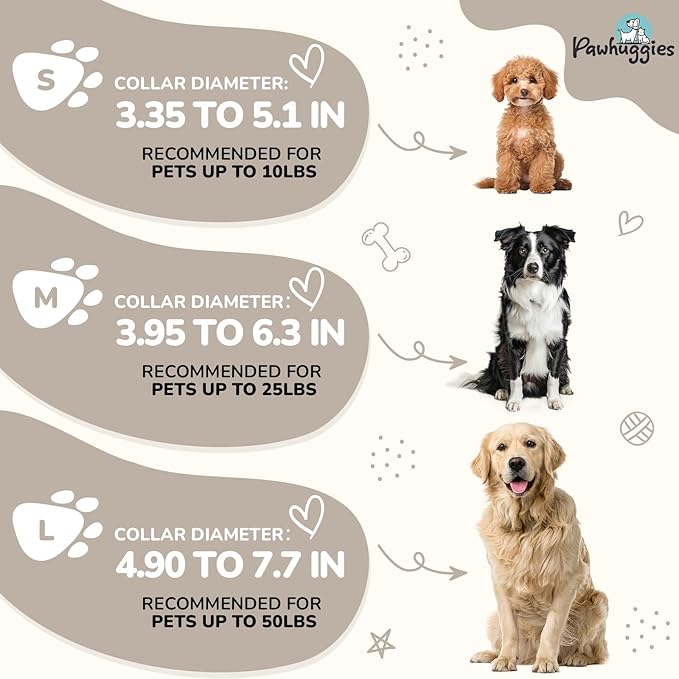 Beidge Dog Collar and Leash Set for Small Dogs, Breathable, Anti-Odor & Soft, Comfortable for Sensitive Skin Puppies, 90% Bamboo Rayon, Quick Release Buckle Pet Collar for Chihuahuas Frenchie