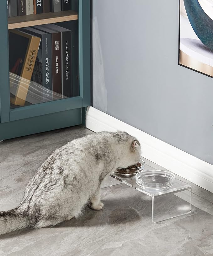 Acrylic Elevated Dog Cat Bowls Pet Feeder Double Bowl Raised Stand Comes with 2 Removable Glass Bowls and 2 Stainless Steel Bowls.Perfect for Cats Puppies Small Dogs