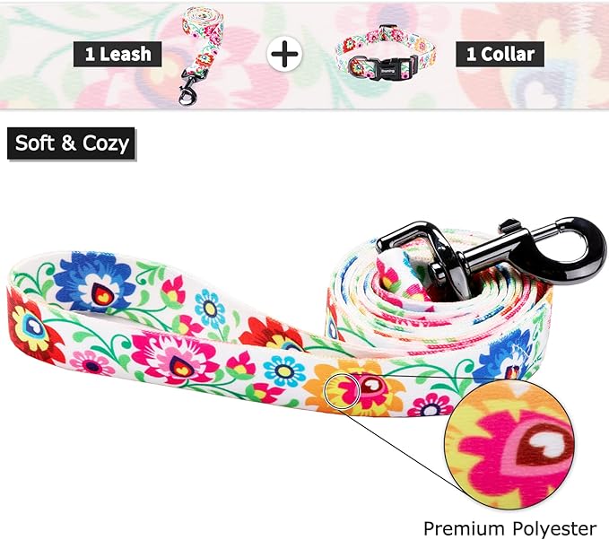Ihoming Puppy Collar and Leash Set for Daily Outdoor Walking Running Training, White Colorful Flowers Design for Extra Small Boys Girls Dogs Cats Pets, XS-Up to 10LBS