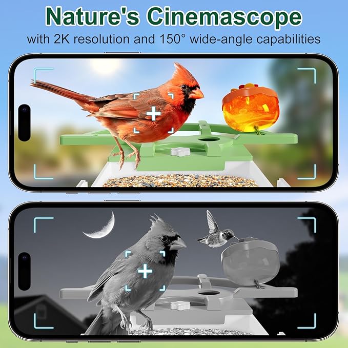 Smart Bird Feeder with Camera, AI Identify Birds Species Solar Panel, 2K HD Live Video Birdhouse, Instant Arrival Alerts, Hummingbird Feeder Weatherproof Design, Ideal Gift for Bird Lovers
