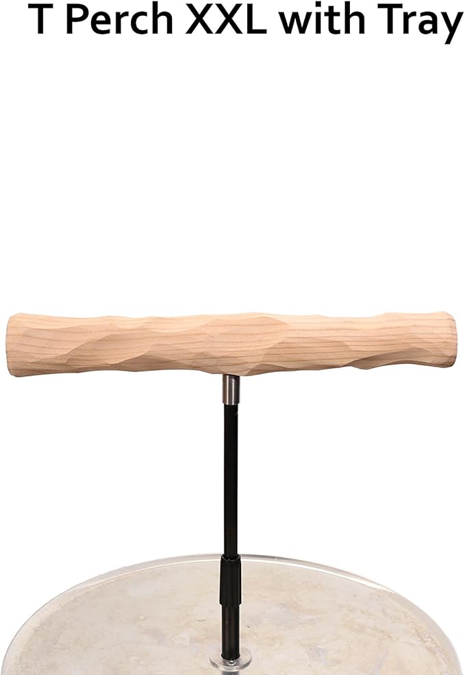 Parrot Training Perch Stand with Potty Tray (T Perch, XXL)