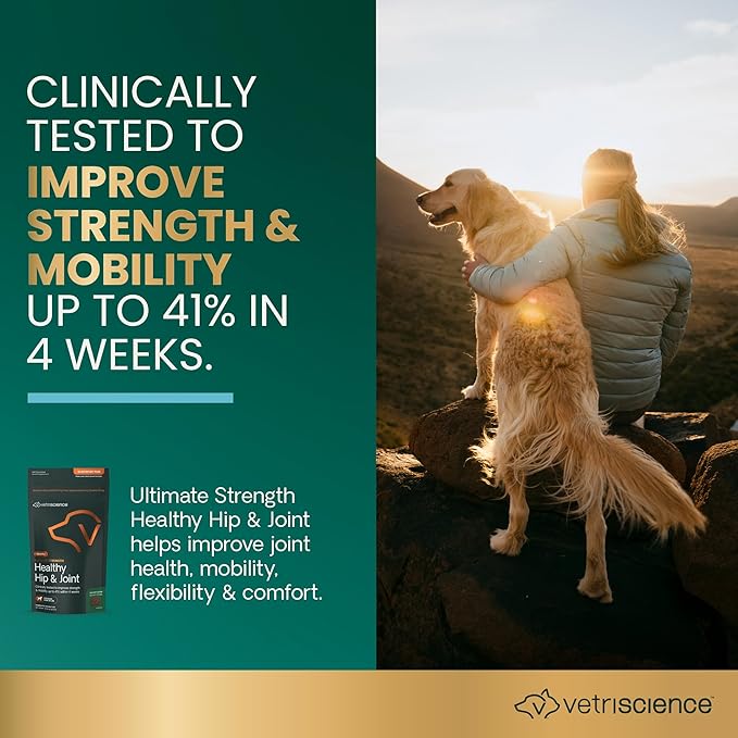VetriScience GlycoFlex Ultimate Strength Healthy Hip & Joint Glucosamine Supplements for Dogs, with MSM, Chondroitin & Green-Lipped Mussel, Soft Chews, Bacon, 120 Count - New Look