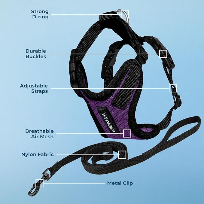 Voyager Step-in Lock Adjustable Cat Harness w. Cat Leash Combo Set with Neoprene Handle 5ft - Supports Small, Medium and Large Breed Cats by Best Pet Supplies - Purple/Black Trim, XXXS