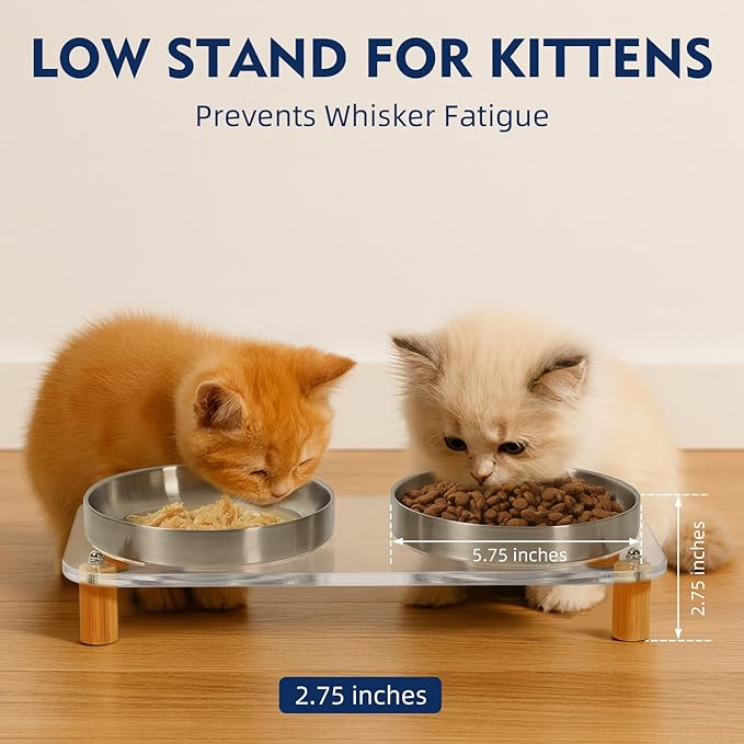 Elevated Cat Bowls for Indoor Cats – Clear Acrylic Cat Food Table with 2 Stainless Steel Dishes, Adjustable Height (4.05"/2.87"), Raised Feeding Station for Easy Digestion