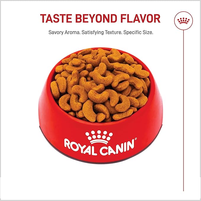 Royal Canin Breed Health Nutrition French Bulldog Adult Dry Dog Food, 6 lb Bag