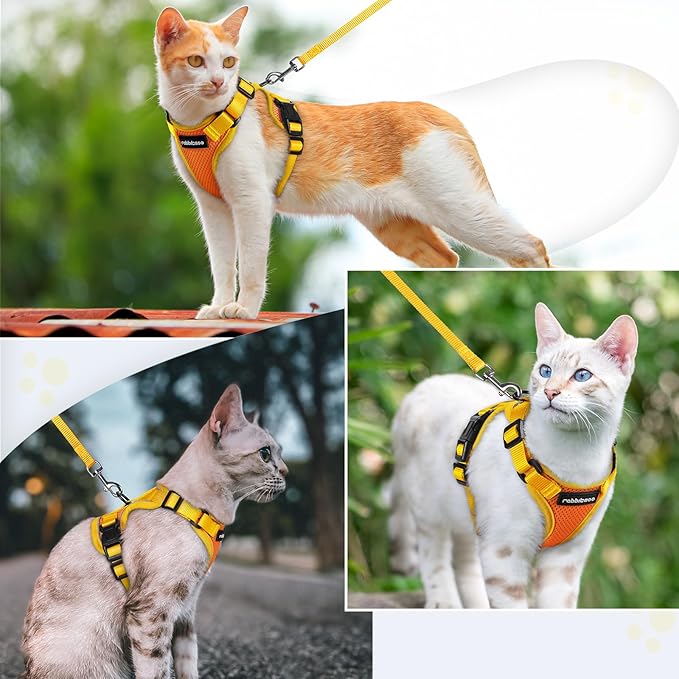 rabbitgoo Cat Harness and Leash Set, Escape Proof Soft Adjustable Vest Harnesses for Outdoor Walking, Easy Control Breathable Kitten Jacket with Reflective Strips, Orange & Yellow, M