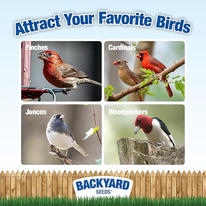 Backyard Seeds Songbird Blend Bird Seed Great Variety (14 Pounds)