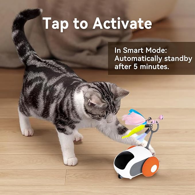 Turbo Tail 5.0 Remote Control Cat Toy, Interactive Cat Toys for Indoor Cats, Automatic Kitten Toys with 2-Speed Adjustment, Remote Control & Rechargeable Exercise Cat Toys for Bored Indoor Adult Cats