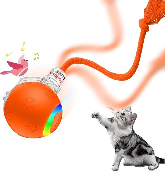 Interactive Cat Toys for Indoor Cats-Fast Rolling on Carpet,Automatic Cat/Kitten Toys for Bored Indoor Cats,Motion Activated