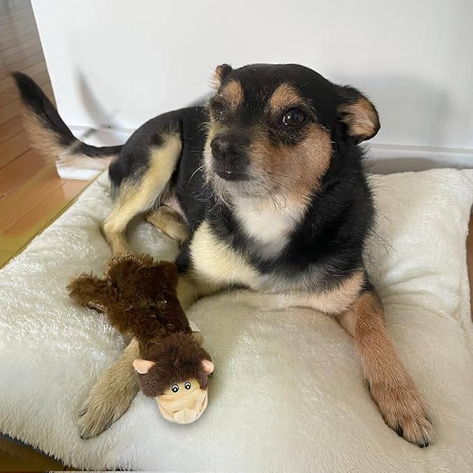 Best Pet Supplies Squeaky Dog Toys with Soft Durable Fabric for Small, Medium and Large Pets Interactive Toy for Indoor Play, Supports Active Biting and Play - Monkey, Squirrel, Medium