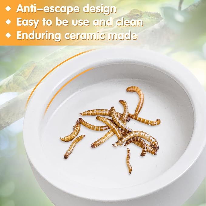 Tfwadmx 4 Pack Reptile Food Bowl, Mini Ceramic Water Feeder Bowl, Reptile Worm Feeding Dish for Lizard Turtle Bearded Dragon Anoles Crested Gecko Hermit Crab Leopard Gecko Chameleon Corn Snake
