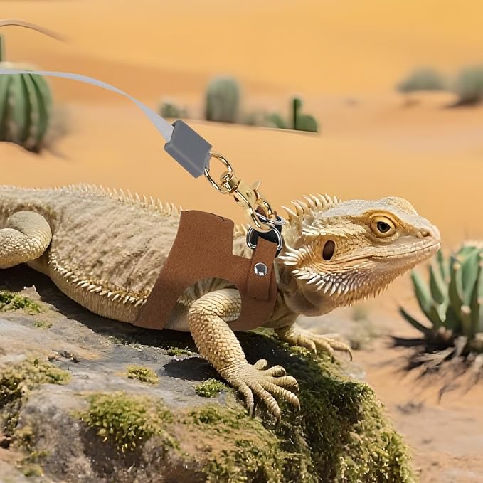 3Pack Bearded Dragon Leash and Harness Set, Bearded Dragon Accessories Clothes Stuff, Adjustable Easy Walk Rat Harness with 6.56 ft, Vest Accessories for Reptile Squirrel Rat Walking (3 Size, Brown)